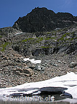F026004: Felschhorn und kleiner Begsee mit Eis