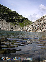F026036: Klarer Bergsee mit Wellen