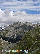 F026046: Flesch: Furggulti und Schinhorngruppe