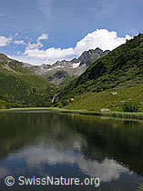 F026116: Halsesee, Binntal, mit schwacher Spiegelung