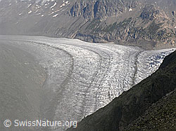 Foto: Fieschergletscher
