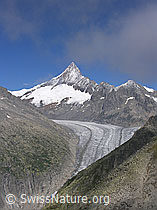 Foto: Finsteraarhorn und Finsteraarrothorn