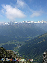 F026239: Risihorn: Fieschertal und Walliser Alpen