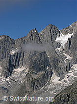 F026247: Klein Wannenhorn (Südgrat)