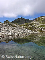 F026257: Spiegelung des Risihorns im Lengsee