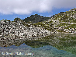 F026258: Risihorn, Bellwald: Spiegelung in Bergsee