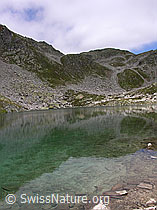 F026259: Lengsee mit schwacher Spiegelung