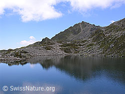 F026262: Blauer Bergsee mit Spiegelung eines Berges