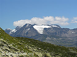 Photo: Risihorn: Rappehorn und Rappegletscher