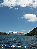 F026273: Mittelsee, Bellwald