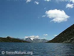 F026274: Mittelsee und Binntaler Berggipfel