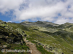 F026286: Bergweg Risihorn, Bellwald