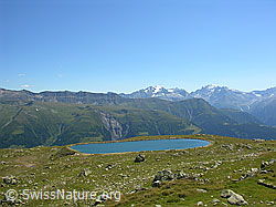 F026287: Bidmere, Bellwald