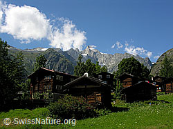 F026303: Weiler Egga, Bellwald