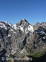 F026319: Tschingelspitz, Gspaltenhorn, Bütlasse