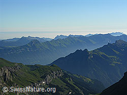 F026337: Brienzer Grat