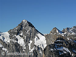 F026343: Gspaltenhorn, Bütlasse