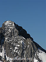 F026346: Gspaltenhorn