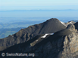 F026351: Schwalmere, Drättehorn