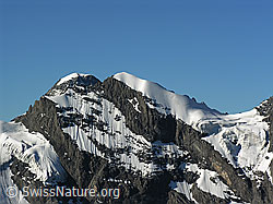 F026357: Tschingelspitz