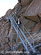 F026395: Gesicherter Bergweg (Leiter) am Schilthorn