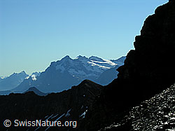 F026399: Wetterhorn