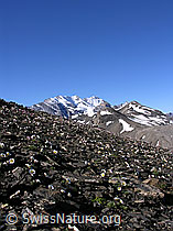 F026416: Blüemlisalp, Hundshorn