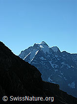 F026423: Felsgrat und Jungfrau