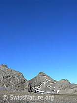 F026430: Wild Andrist, Rote Härd