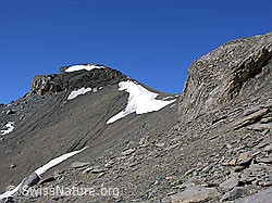 F026442: Felsköpfe, Steinplatten und Schneefelder
