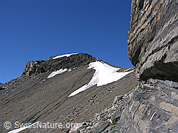 F026449: Felskopf, Schneefeld, Felswand