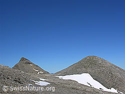 F026454: Wild Andrist und karge Landschaft mit Schneefeld