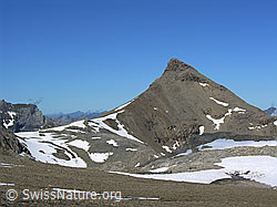 F026457: Wild Andrist, Berner Oberland