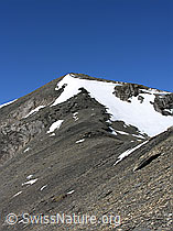 F026476: Hundshorn, Berner Oberland