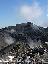 F026494: Hundshorn: Schilthorn