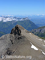 F026497: Hundshorn: Wild Andrist, Niesen