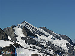 Photo: Doldenhorn und Doldenhorngletscher