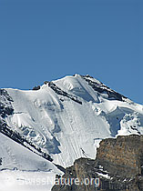 F026504: Nordwand des Blüemlisalphorns