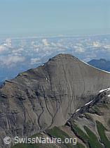 F026513: Spuren der Eriosion an Schwalmere