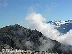 F026516: Aufsteigende Quellwolken am Schilthorn