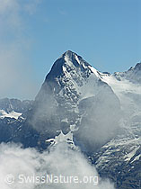 F026519: Eiger mit aufsteigenden Quellwolken