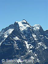 F026521: Silberhorn, Jungfrau und Rottalhorn
