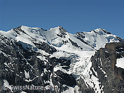 Photo: Hundshorn: Blüemlisalp