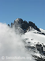 F026548: Gspaltenhorngipfel und Bütlasse