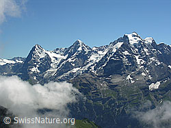 F026575: Eiger, Mönch und Jungfrau mit aufsteigenden Quellwolken