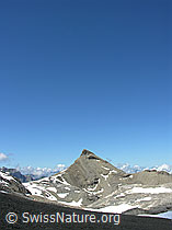 F026616: Pyramide des Wild Andrist