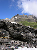 F026632: Felsstufe mit geschichteten Felsplatten