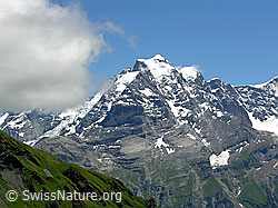 F026670: Jungfrau von Mürren