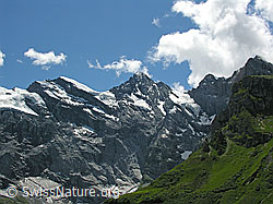 F026696: Tschingelspitz und Gspaltenhorn