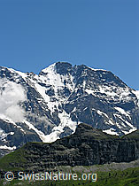 F026735: Grosshorn